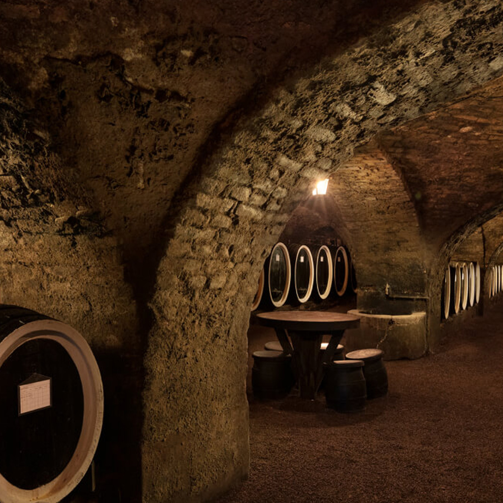 Kutjevo wine cellar interior - historic wine tasting location near Ella House Velika