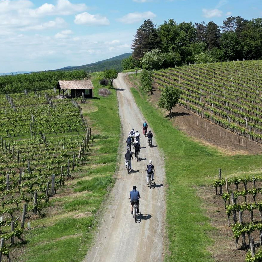 Papuk bike rental - mountain biking and cycling in Papuk Nature Park near Ella House