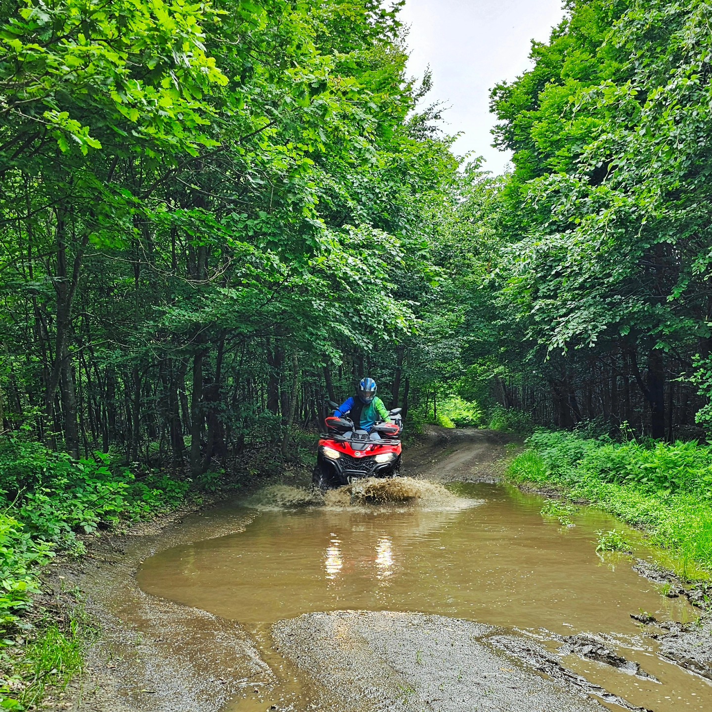 Adventure sports and outdoor activities in Papuk Nature Park Croatia including hiking, mountain biking, and climbing